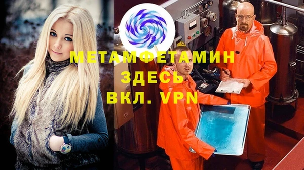 стаф Вязьма