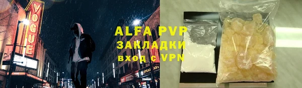 стаф Вязьма