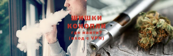 стаф Вязьма