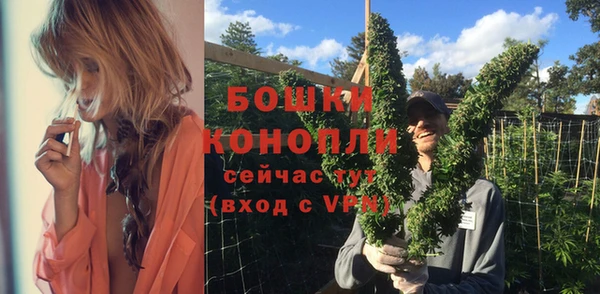 стаф Вязьма