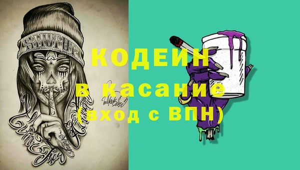 стаф Вязьма