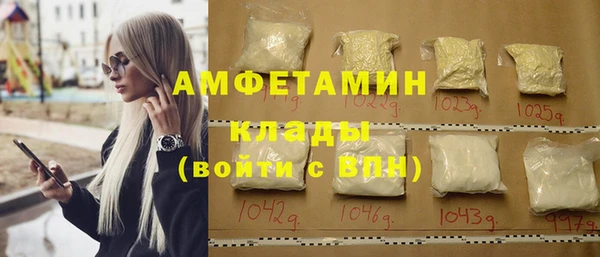 стаф Вязьма