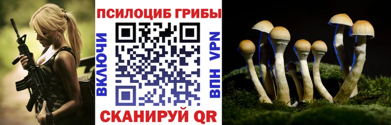 где найти наркотики Зеленодольск Галлюциногенные грибы ЛСД